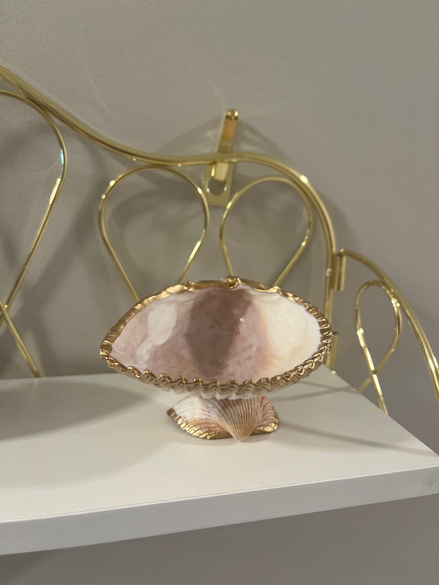 Ocean Oasis: Seashell Jewelry/Trinket/Air Plant Holder