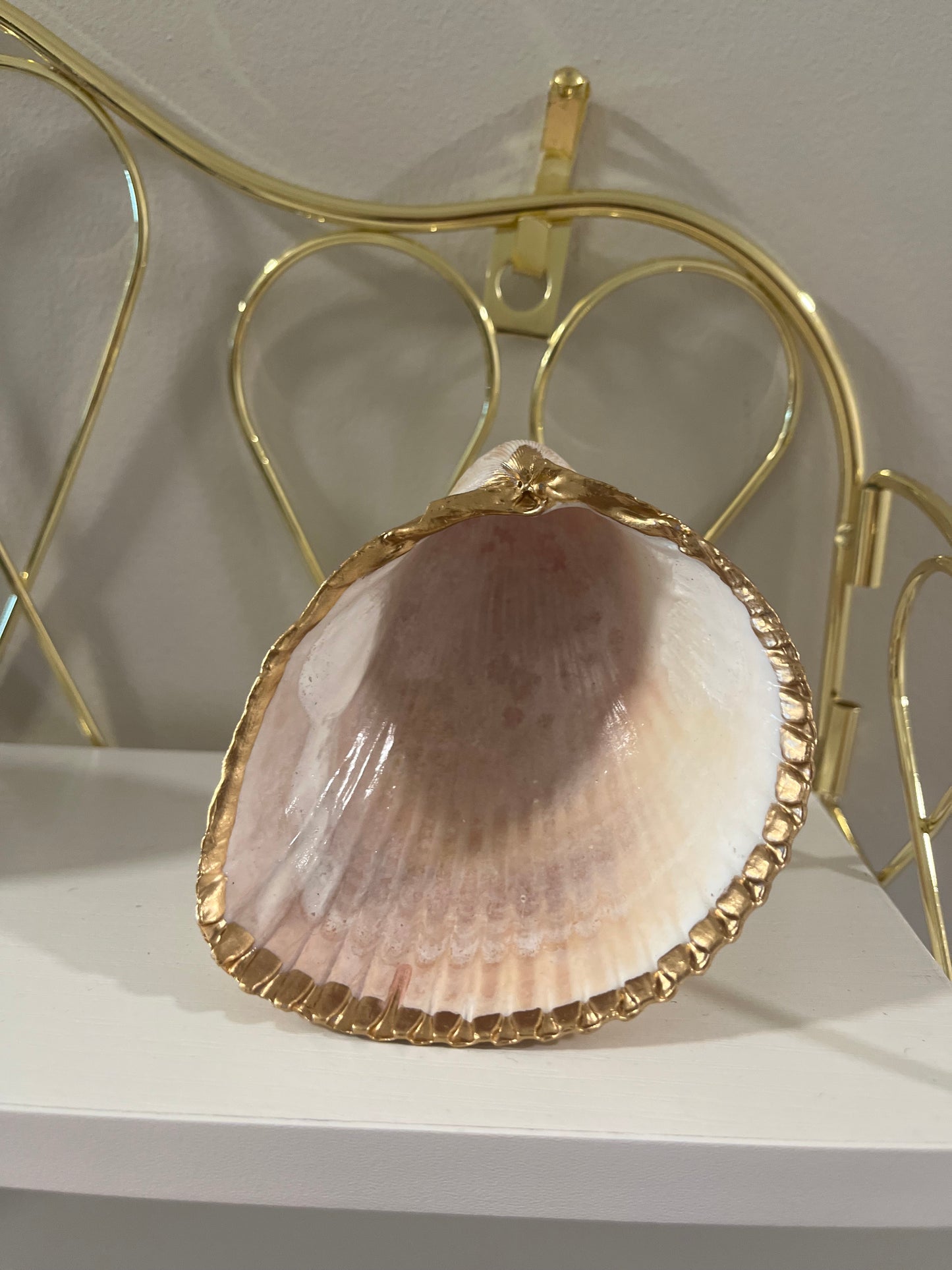 Ocean Oasis: Seashell Jewelry/Trinket/Air Plant Holder