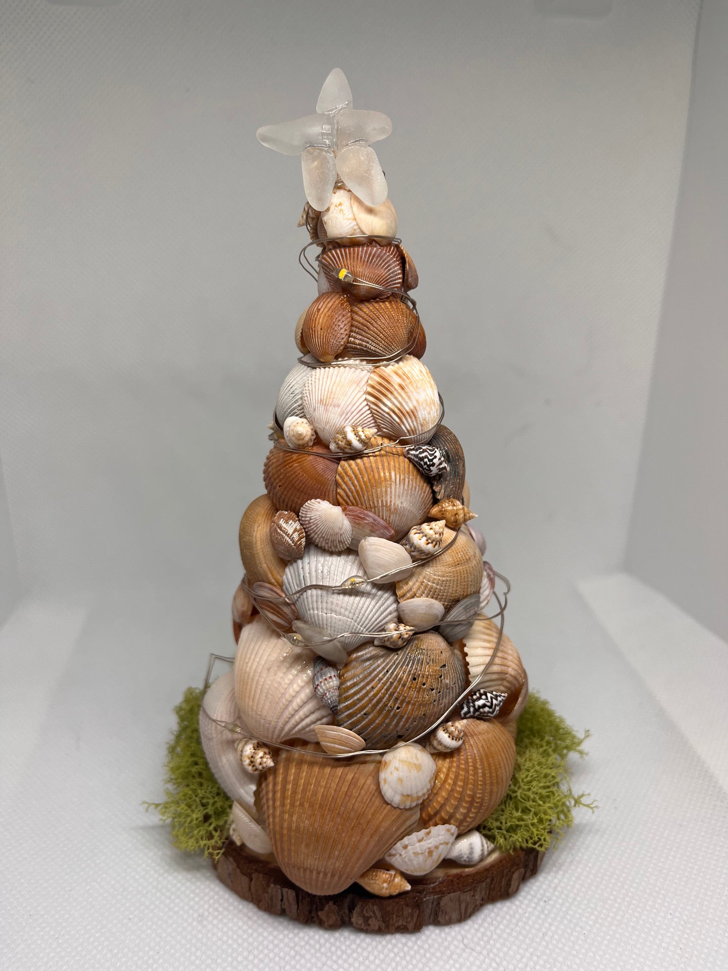 Seashell Christmas Tree w/ Clear Sea Glass Star on Top and LED Lights