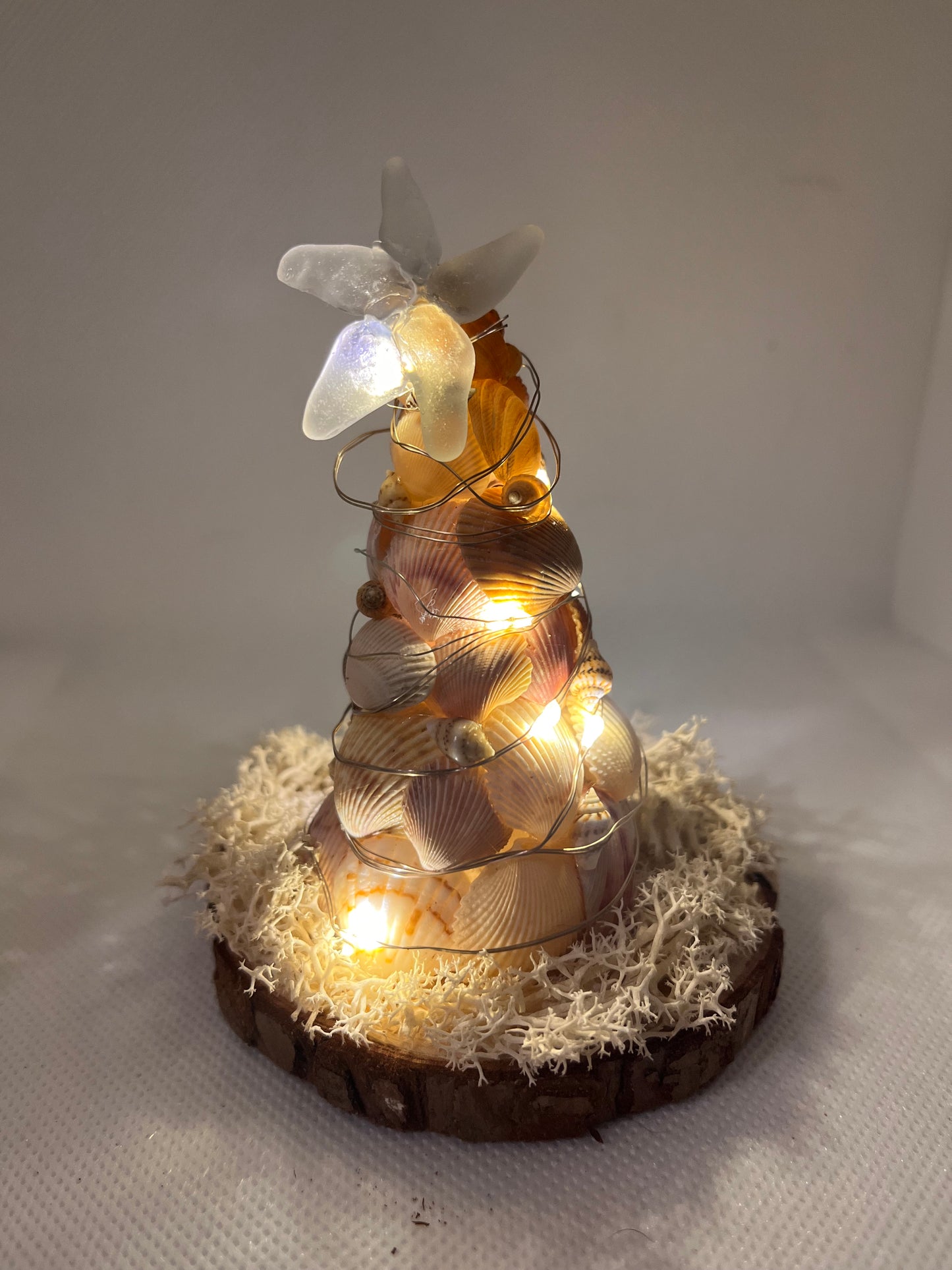 Mini Seashell Christmas Tree w/ Clear Sea Glass Star on Top and LED Lights