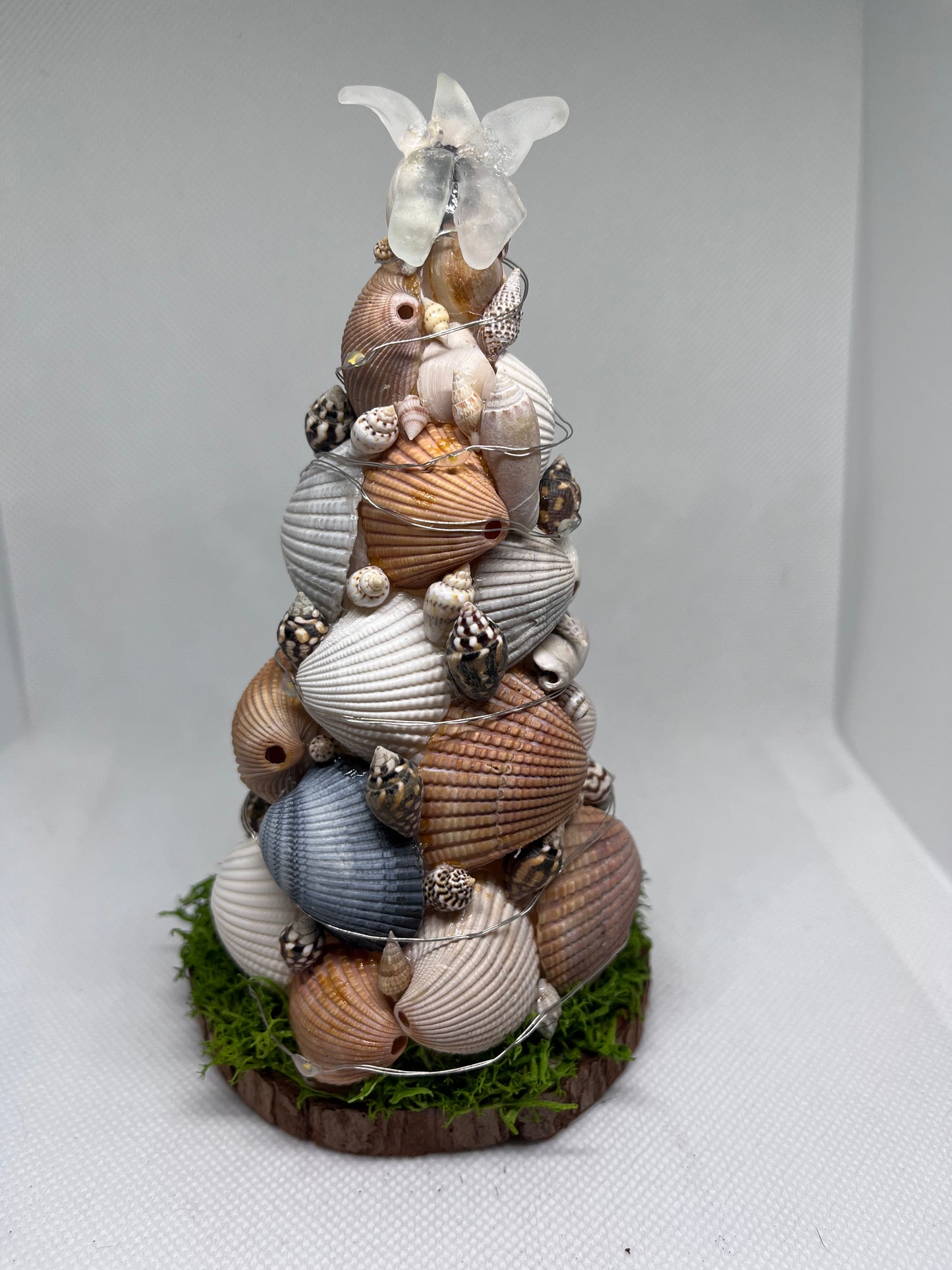 Seashell Christmas Tree w/ Clear Sea Glass Star on Top and LED Lights