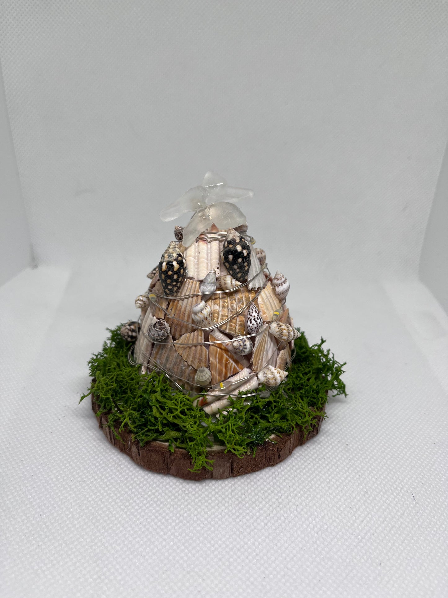 Seashell Christmas Tree w/ Clear Sea Glass Star on Top and LED Lights