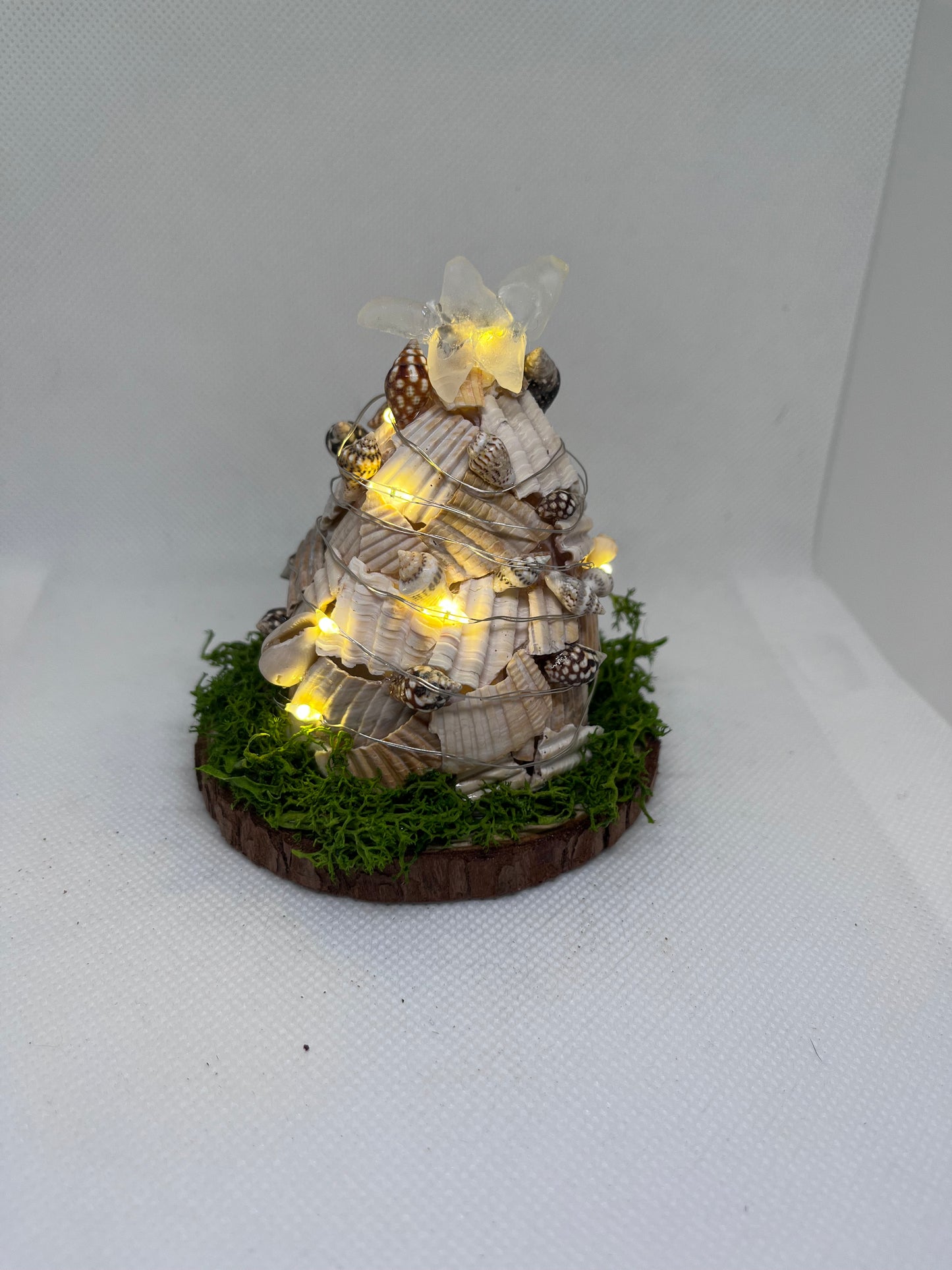 Seashell Christmas Tree w/ Clear Sea Glass Star on Top and LED Lights